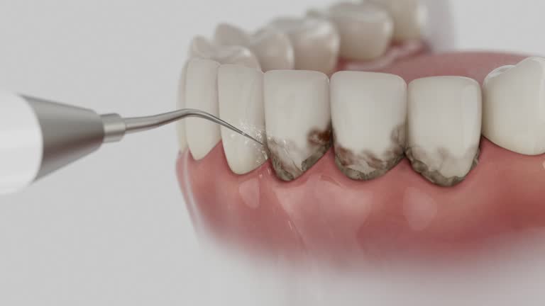 Reliable Dental contractor in Parsons, KS by Dentist Open Now